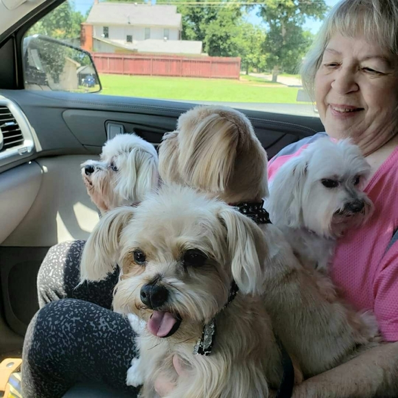 Fast shipper! I don't iron🌵 - Picture 15 of 16